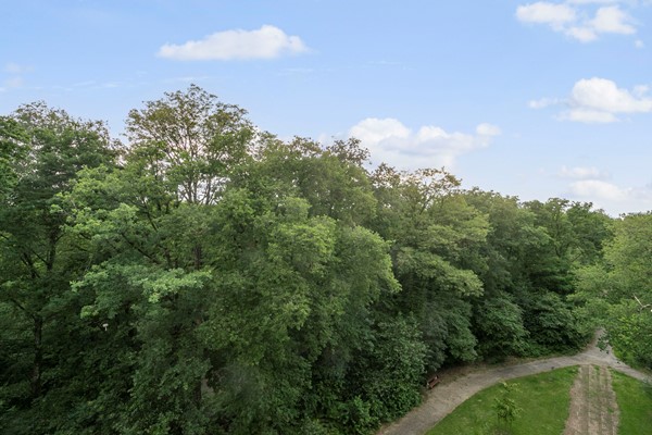 Medium property photo - Beethovenlaan 241, 6865 DP Doorwerth